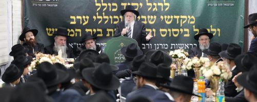 צילום: יעקב כהן