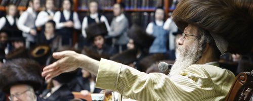 ר-אלימלך-בידרמן-אדר-ב-פד-צילום-שמואל-שנקר-18