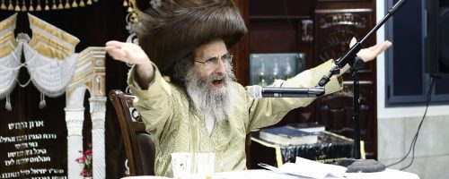 ר-מיילך-בידרמן-שליטא-חיפה-צילום-שמואל-שנקר-261