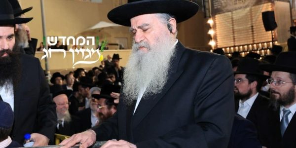 צילום: שוקי לרר