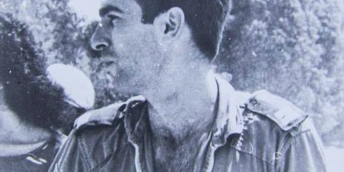 רוד ארד