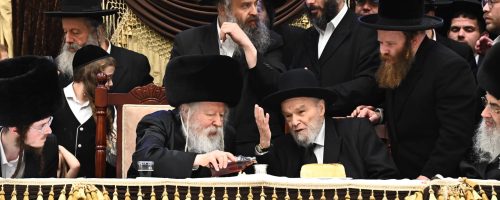 שבע ברכות גור. צילום שוקי לרר (7)