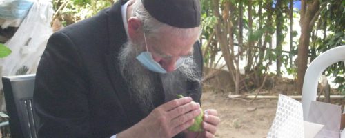 הגאון ר' יהודה אריה שוורץ מרבני שכונת קרית הרצוג בבני ברק