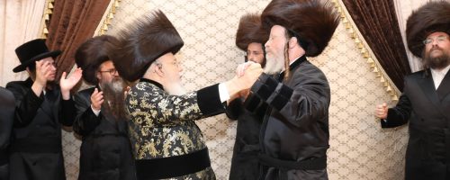 צילום דוד ארזני