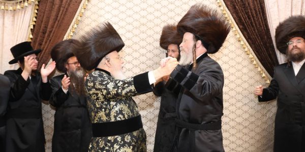 צילום דוד ארזני