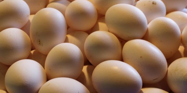 צילום: נתי שוחט/FLASH90