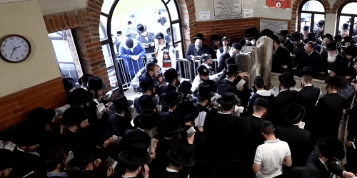 תמונה לכתבה