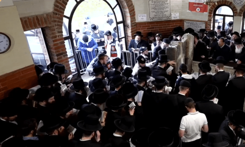 תמונה לכתבה