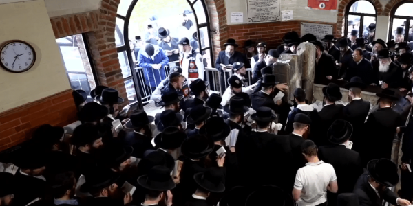 תמונה לכתבה