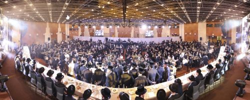 תמונה ראשית