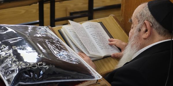 הגר"א סאלים. צילום: באדיבות המצלם