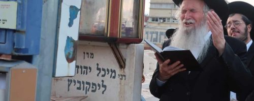 צילום: ש.פ.ה