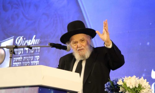 מרן הגרמ"ה הירש נושא דברים בכינוס 'דרשו'. צילום: דודי קליין