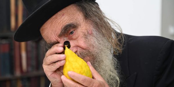 הרב קופשיץ