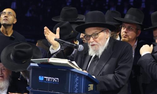 צילום: דניאל נפוסי
