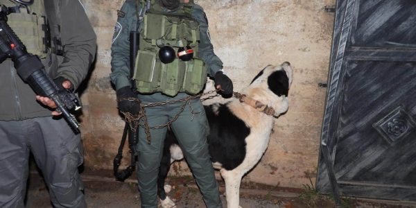 קרדיט: משטרת ישראל