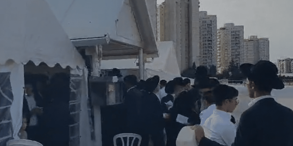 ‏‏לכידה
