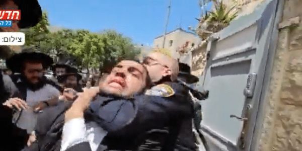 ‏‏לכידה
