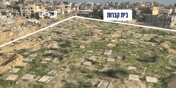 ‏‏לכידה
