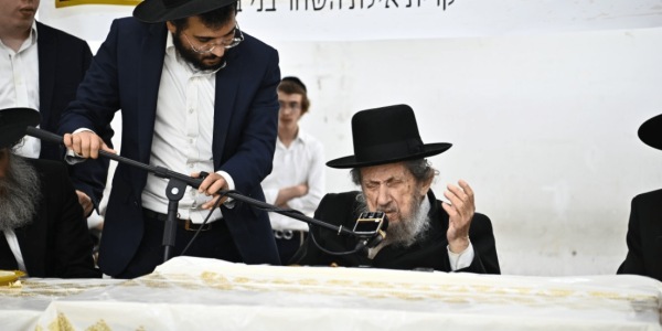 ‏‏לכידה