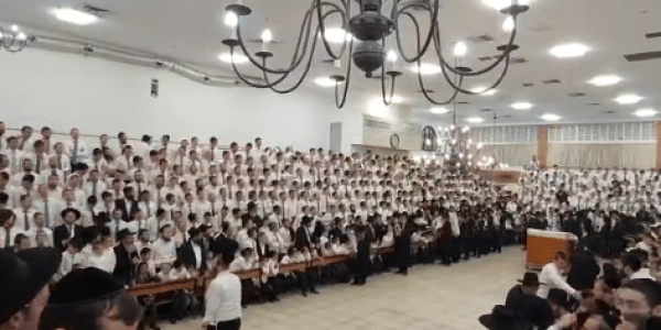 ‏‏לכידה
