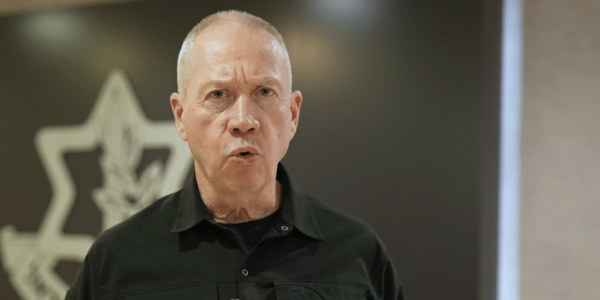 גלנט - צילום: אלעד מלכה