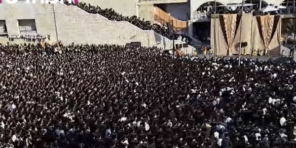 ‏‏לכידה